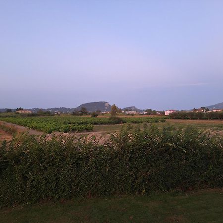 Casa Dei Fiori Villa Sarakinadhon Bagian luar foto
