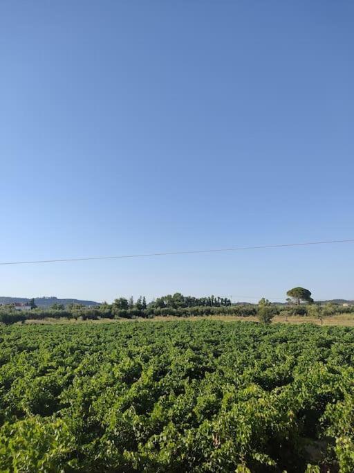 Casa Dei Fiori Villa Sarakinadhon Bagian luar foto